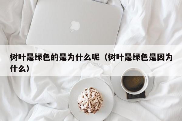 树叶是绿色的是为什么呢（树叶是绿色是因为什么）