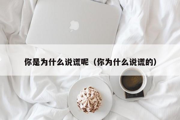 你是为什么说谎呢（你为什么说谎的）