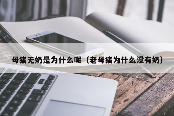 母猪无奶是为什么呢（老母猪为什么没有奶）