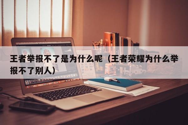 王者举报不了是为什么呢（王者荣耀为什么举报不了别人）