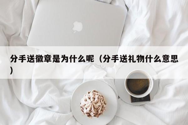 分手送徽章是为什么呢（分手送礼物什么意思）