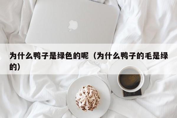 为什么鸭子是绿色的呢（为什么鸭子的毛是绿的）