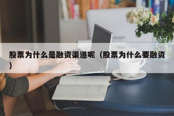 股票为什么是融资渠道呢（股票为什么要融资）