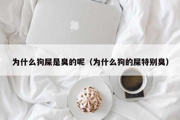 为什么狗屎是臭的呢（为什么狗的屎特别臭）