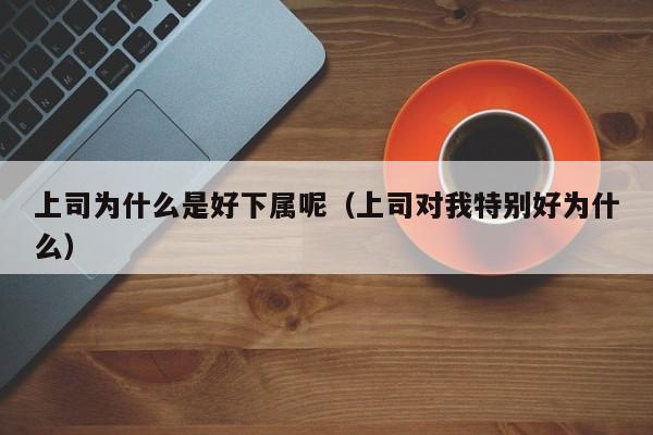 上司为什么是好下属呢（上司对我特别好为什么）