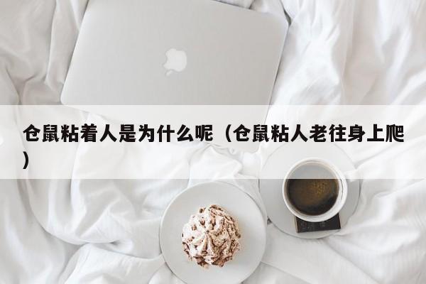 仓鼠粘着人是为什么呢（仓鼠粘人老往身上爬）