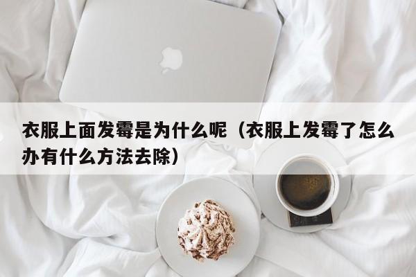 衣服上面发霉是为什么呢（衣服上发霉了怎么办有什么方法去除）