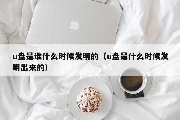 u盘是谁什么时候发明的（u盘是什么时候发明出来的）