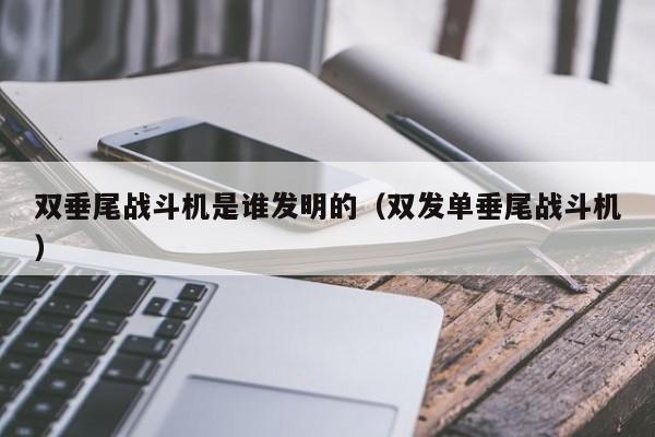 双垂尾战斗机是谁发明的（双发单垂尾战斗机）