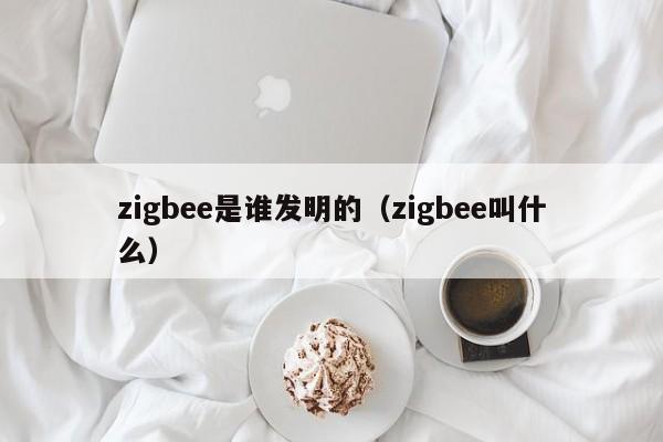 zigbee是谁发明的（zigbee叫什么）