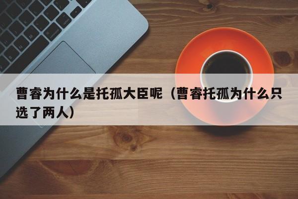 曹睿为什么是托孤大臣呢（曹睿托孤为什么只选了两人）