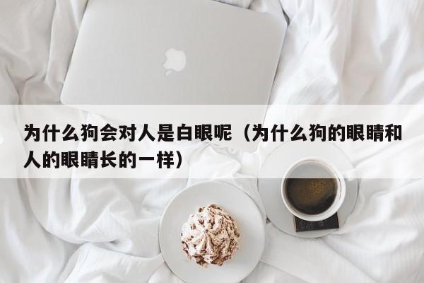 为什么狗会对人是白眼呢（为什么狗的眼睛和人的眼睛长的一样）