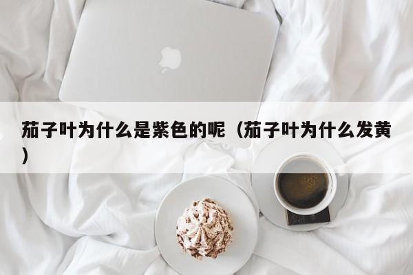 茄子叶为什么是紫色的呢（茄子叶为什么发黄）