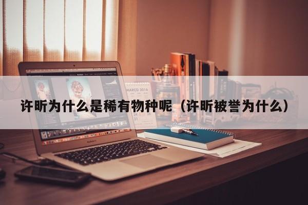 许昕为什么是稀有物种呢（许昕被誉为什么）