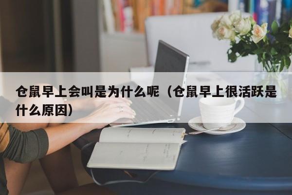 仓鼠早上会叫是为什么呢（仓鼠早上很活跃是什么原因）