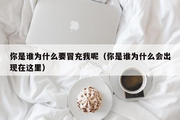 你是谁为什么要冒充我呢（你是谁为什么会出现在这里）