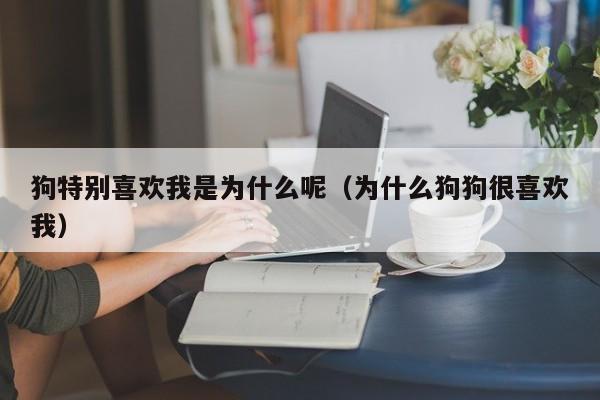 狗特别喜欢我是为什么呢（为什么狗狗很喜欢我）