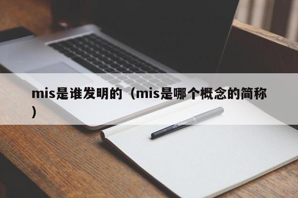 mis是谁发明的（mis是哪个概念的简称）