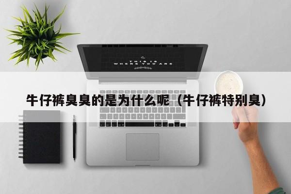 牛仔裤臭臭的是为什么呢（牛仔裤特别臭）