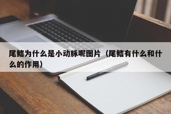 尾鳍为什么是小动脉呢图片（尾鳍有什么和什么的作用）