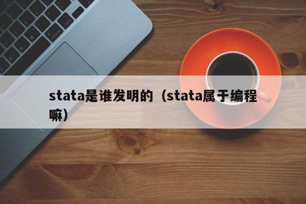 stata是谁发明的（stata属于编程嘛）