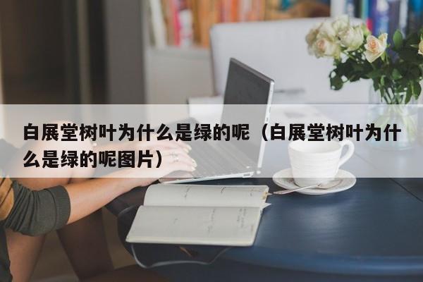 白展堂树叶为什么是绿的呢（白展堂树叶为什么是绿的呢图片）