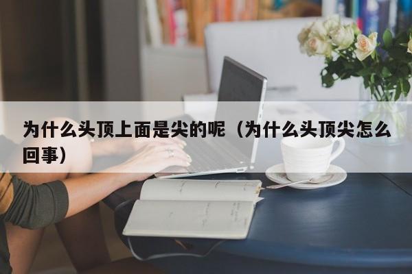 为什么头顶上面是尖的呢（为什么头顶尖怎么回事）