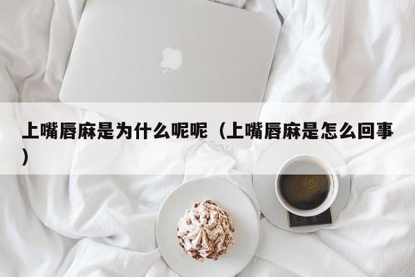 上嘴唇麻是为什么呢呢（上嘴唇麻是怎么回事）